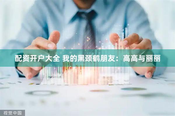 配资开户大全 我的黑颈鹤朋友：高高与丽丽