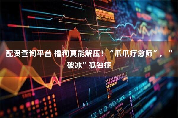 配资查询平台 撸狗真能解压！“爪爪疗愈师”，“破冰”孤独症